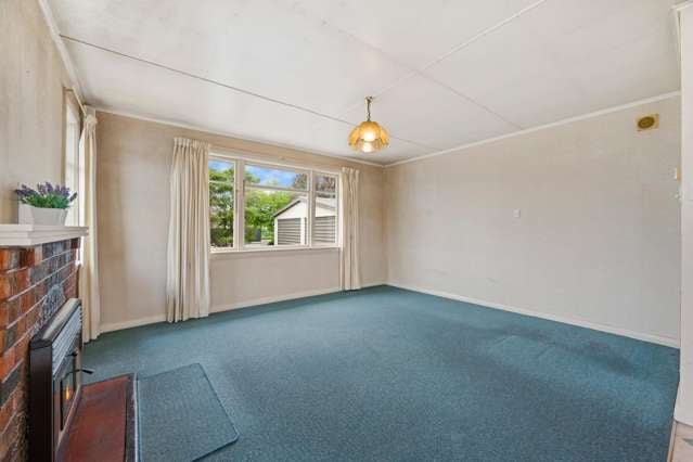 22 Brewer Street Blenheim_4