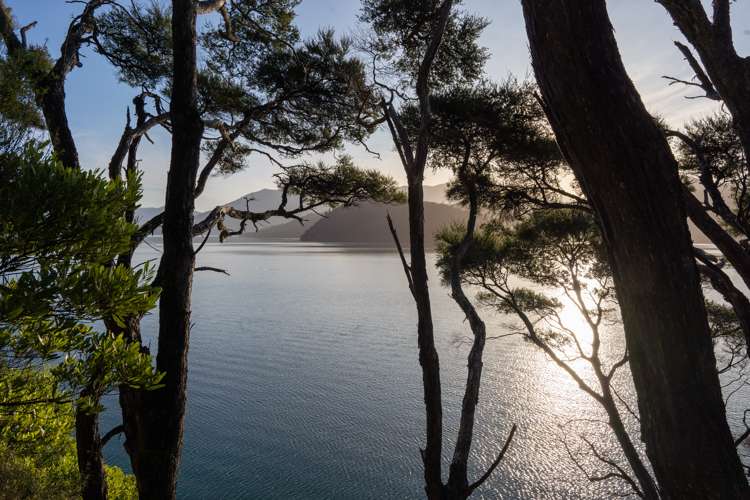 42 Lawrence Road Kenepuru Sound_24