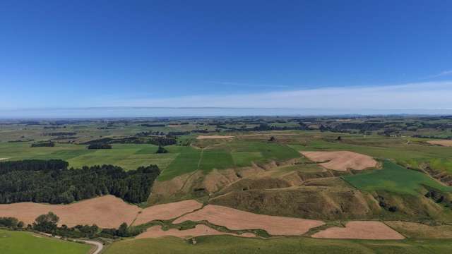 Bareland with balance - 141 ha