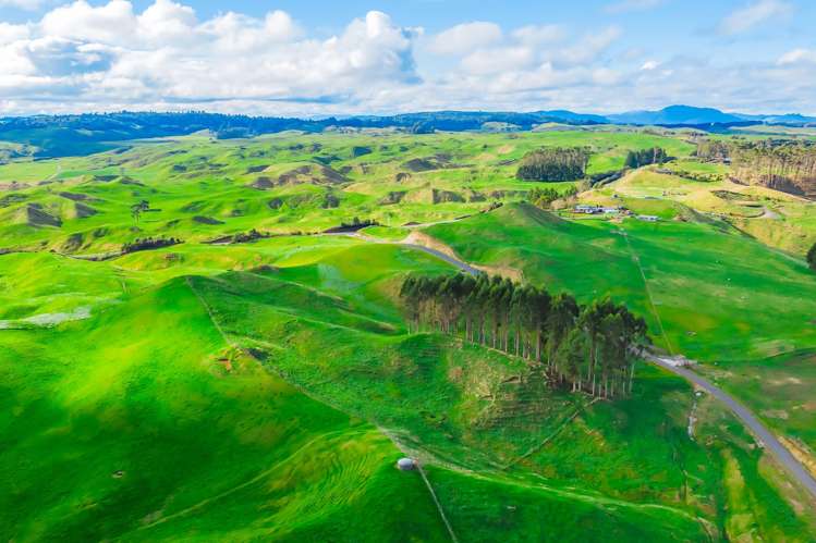 473 Otake Road Marotiri_17