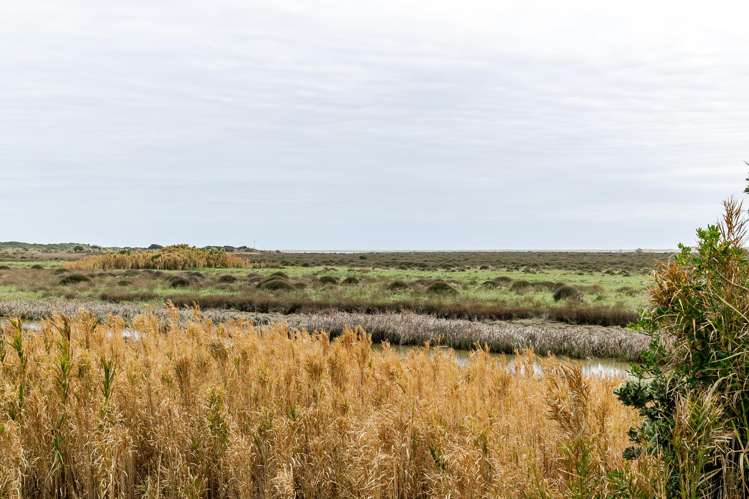 16 Kina Street Tangimoana_19