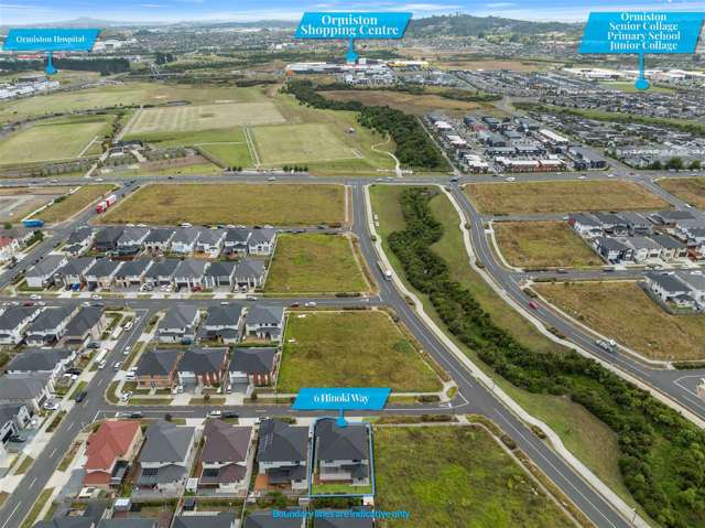 6 Hinoki Way Flat Bush_2