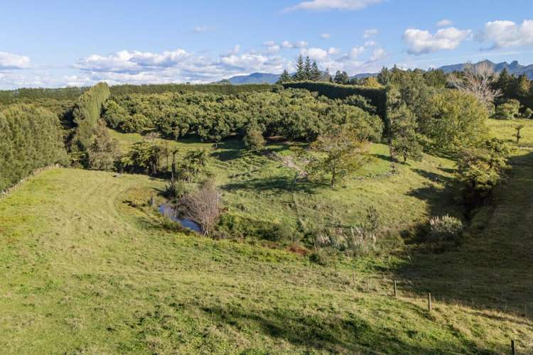222 Wharawhara Road Katikati_13