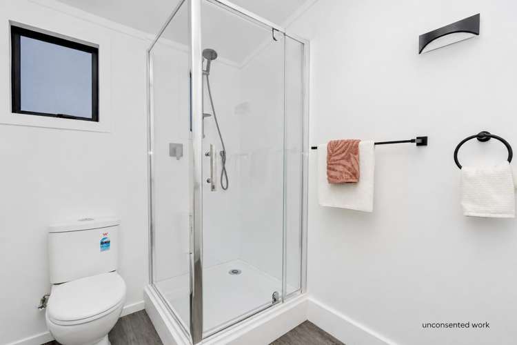 8 Bruton Place Nawton_25