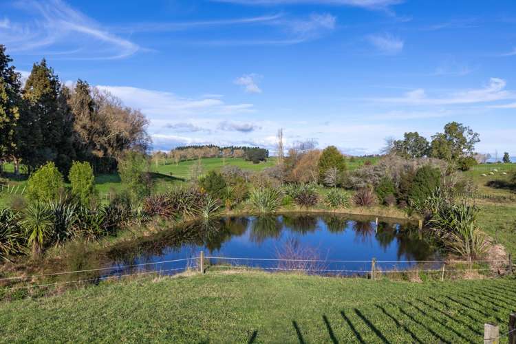 4953 Ohaupo Road Te Awamutu_48