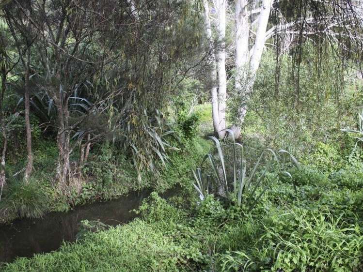 19 Darmah Lane Mangawhai_14