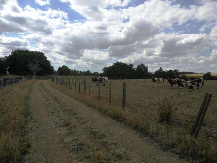 Kereone Road Morrinsville_12