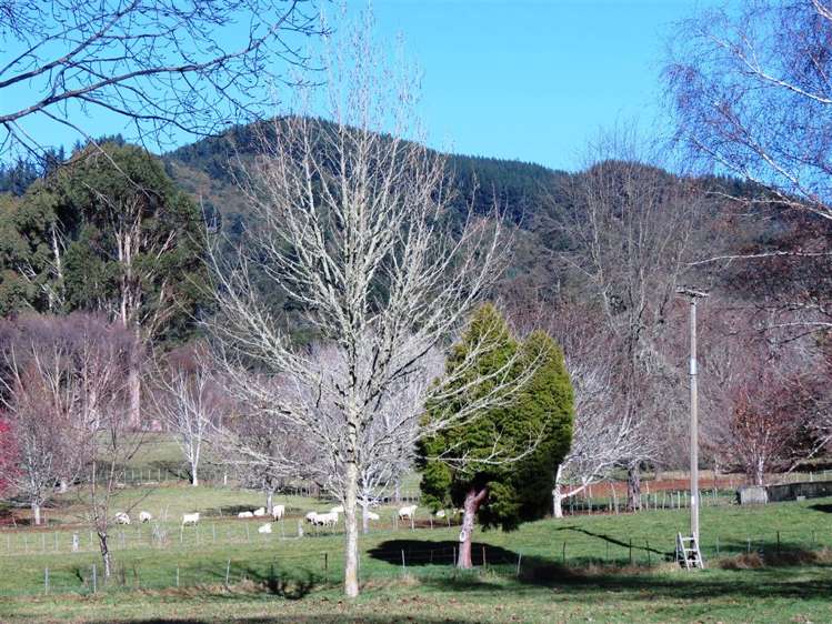 26 Greenhill Road Ngatimoti_36