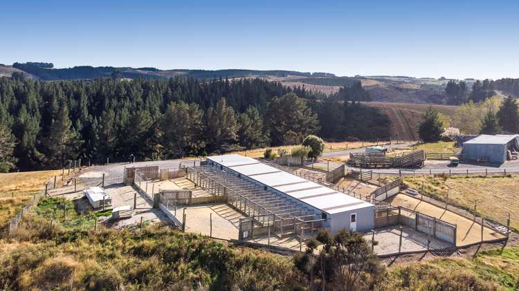 251 Fletcher Road Milton_9