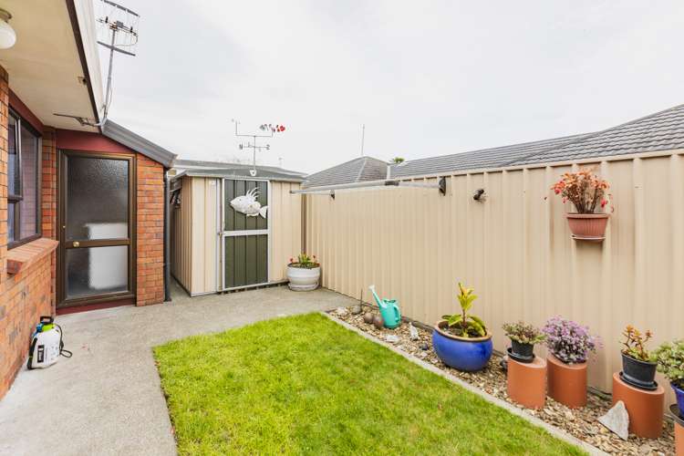 49b Church Road Taradale_11