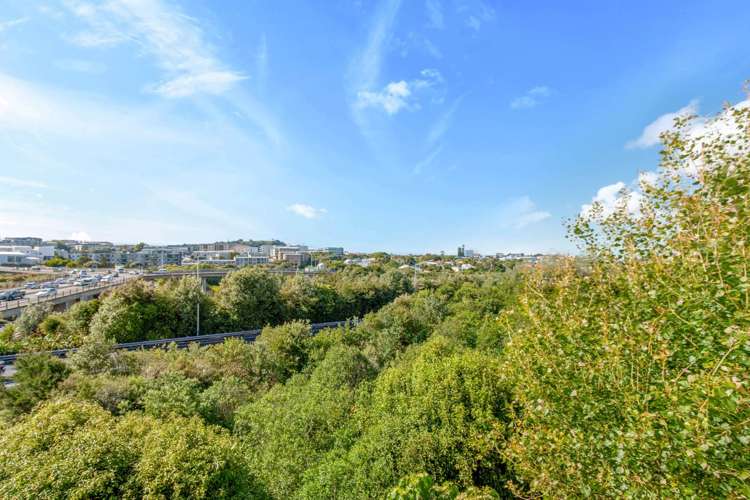 30/8 Burgoyne Street Grey Lynn_4