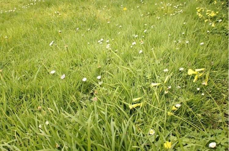 280a Okura River Road Long Bay_1