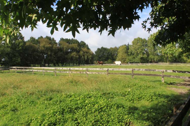 34 Oregon Park Dairy Flat_5