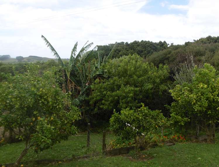 443 Kohanga Road Onewhero_13