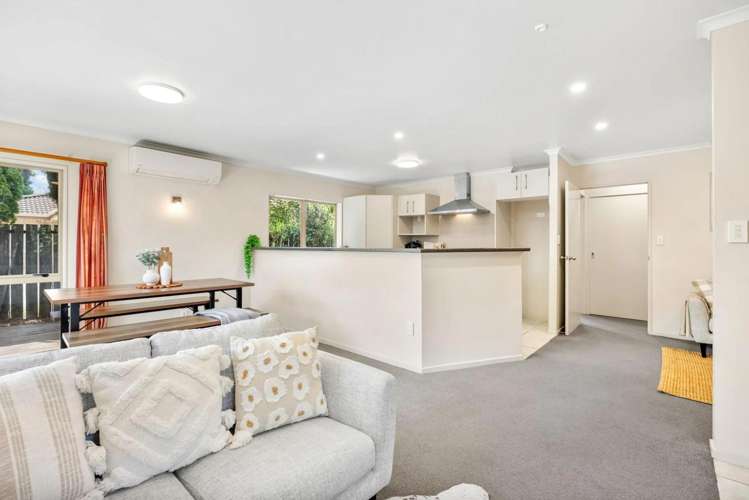 254A Kamo Road Whau Valley_2