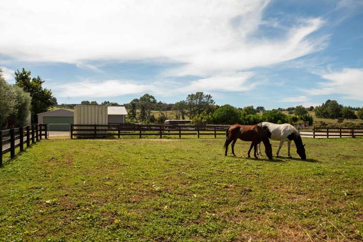 126 Willoughby Road Katikati_27