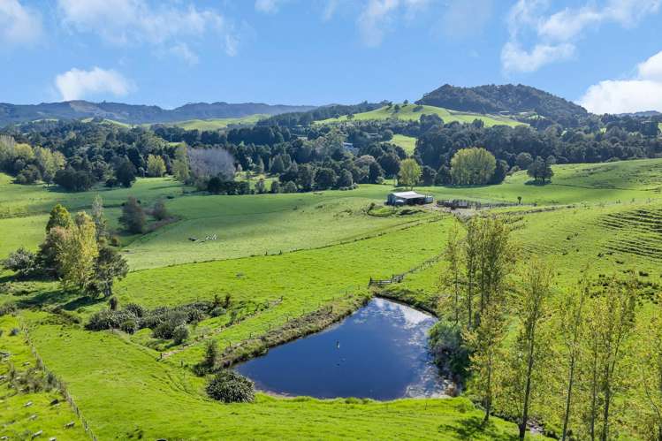 Lot 2 Adams Road Glenbervie_9