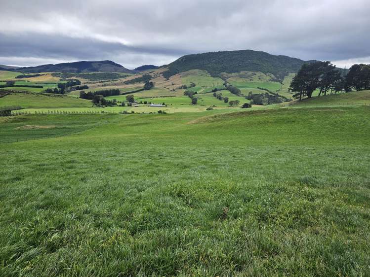 1551 Owaka Valley Road Owaka Valley_28