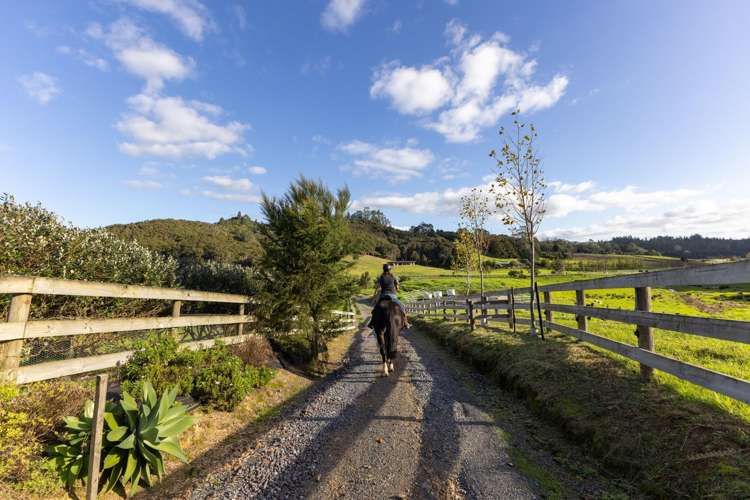 719 Waikare Road Kawakawa_31