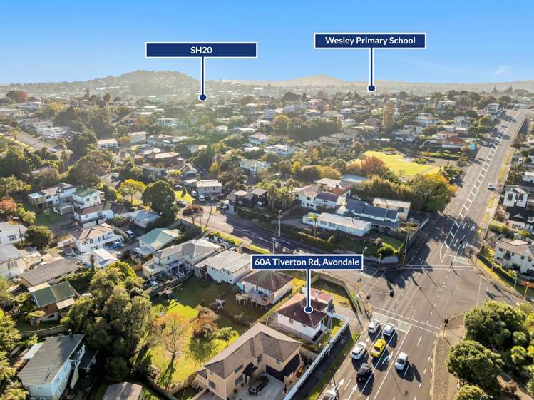 60A Tiverton Road Avondale_17