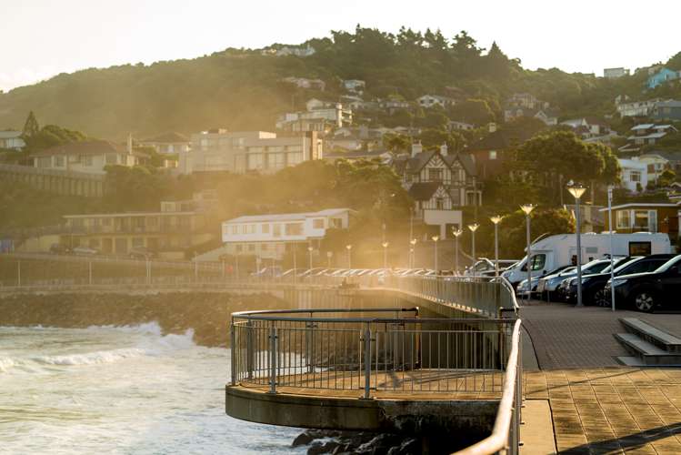 246 Forbury Road Saint Clair_10