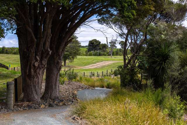 1251 Kaiwaka Mangawhai Road Mangawhai_2