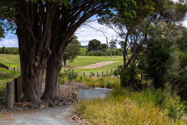 1251 Kaiwaka Mangawhai Road Mangawhai_2
