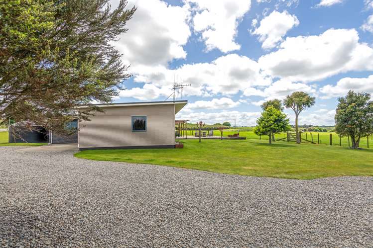 47 Viles Road Bulls_24