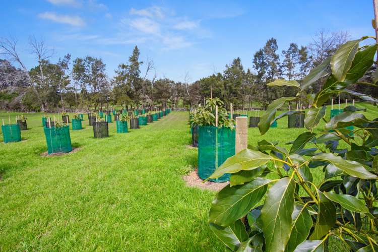 787 State highway 2 Wairoa_15