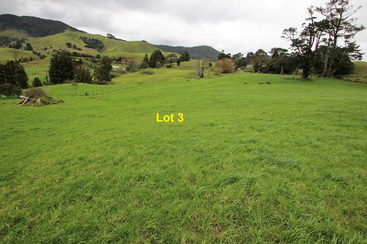 Lot 3 & 4 Te Rore Road Kaitaia_8