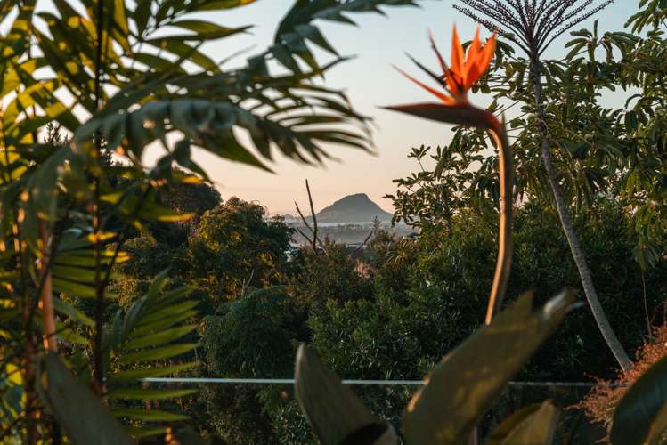 38 Holcombrooke Lane Welcome Bay_10