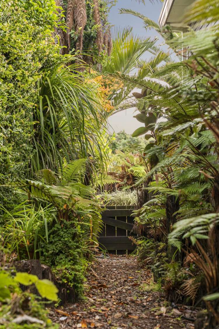 135 Haukore Street Hairini_29