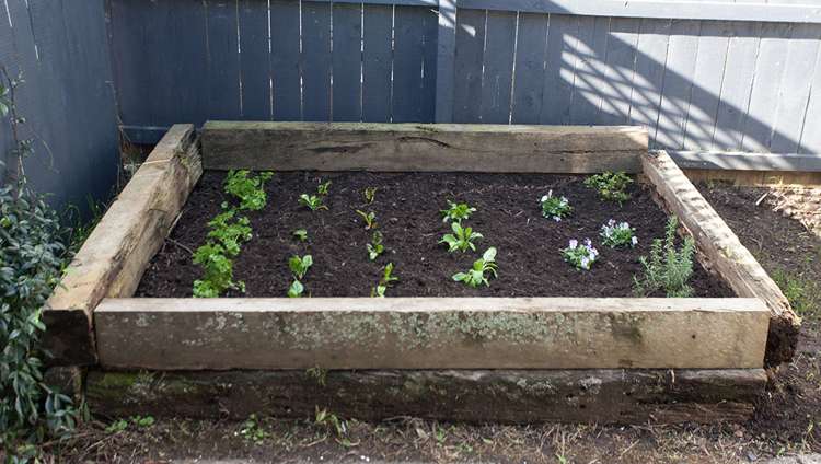 42 Richard Farrell Avenue Remuera_15