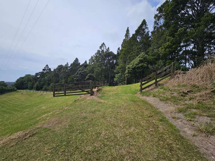 214a Three Oaks Drive Dairy Flat_5