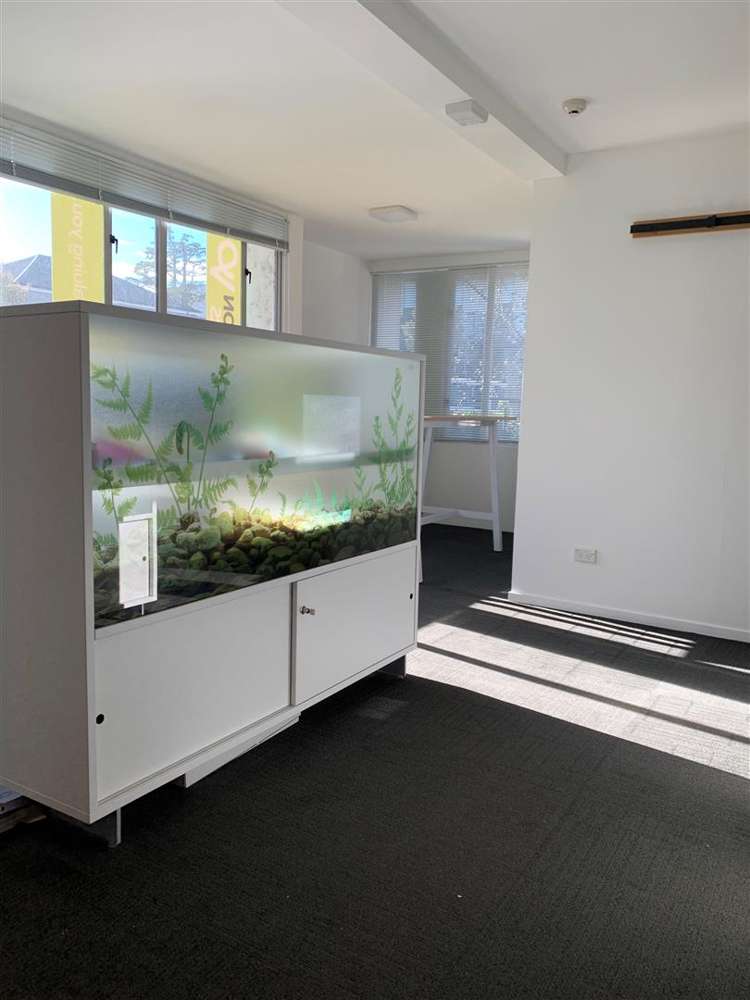 Unit 3B/75 Peterborough Street Christchurch Central_6