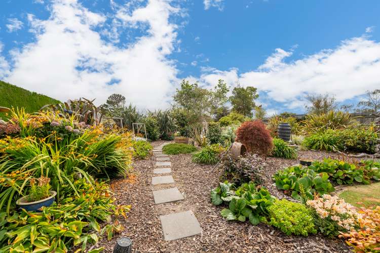 28 Appleby Street Hampden_20