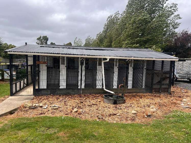 128 Mako Mako Road Levin_24