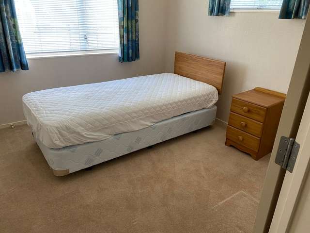 111 Avondale Road Greenmeadows_3