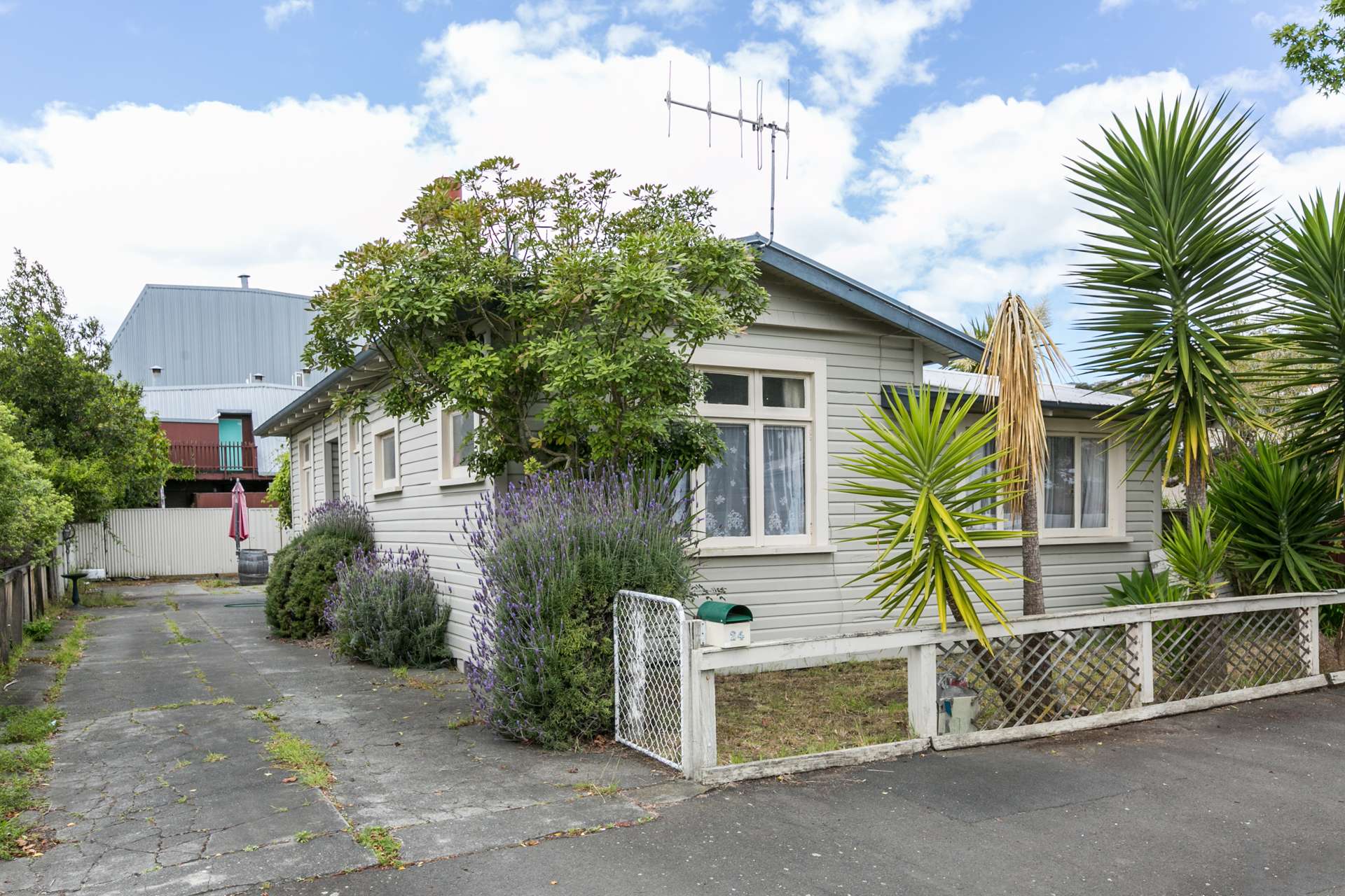 24 Campbell Street Ahuriri_0