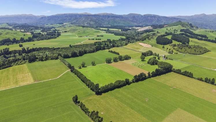 519 Main South Road Rangiwahia_20