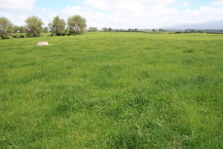 1641 Eltham Road Kaponga_7