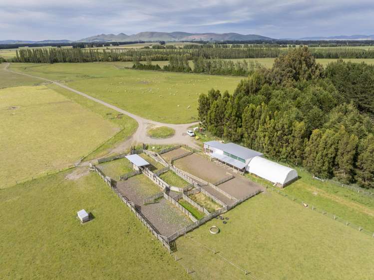 304 Acton Downs Road Acton_19