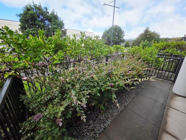 77 Bluegrey Avenue Stonefields_2