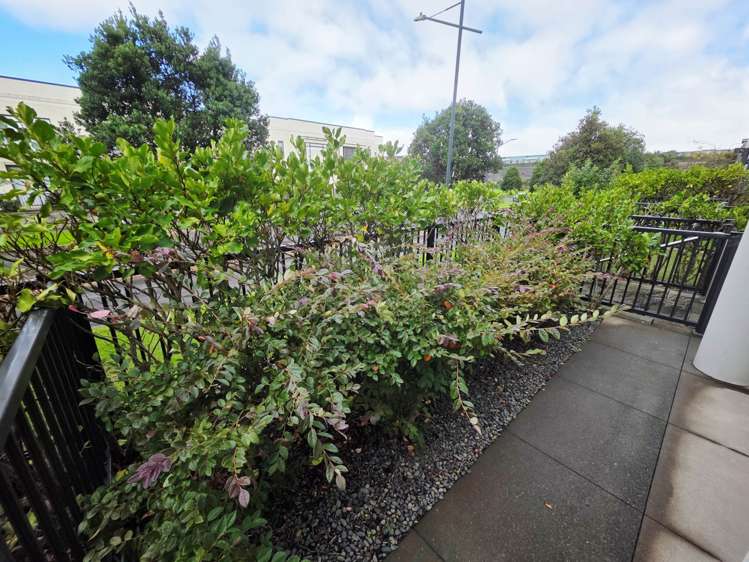 77 Bluegrey Avenue Stonefields_2