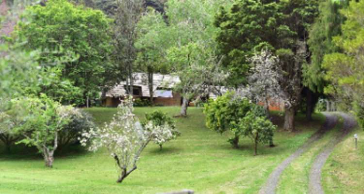 245 Huia Road_0