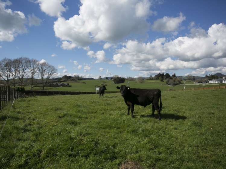 1183c Victoria Road Tauwhare_6