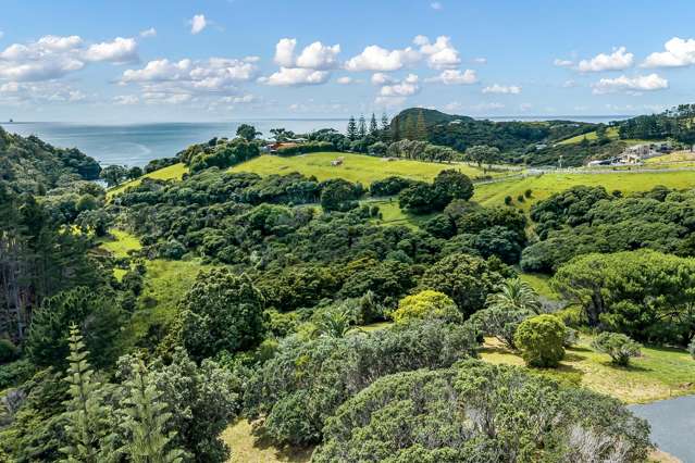 Lot 2 & 3 Landowners Lane Tutukaka_1