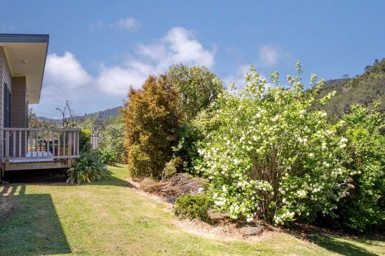 5 Tapu Creek Farms Tapu_22