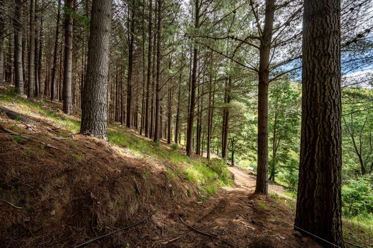 61 Council Hill Road Little River_8