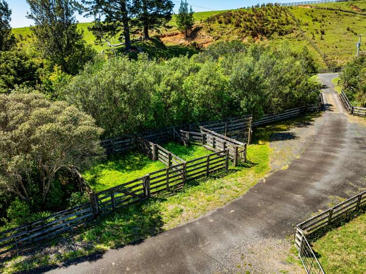 383 Busby Road Katikati_23